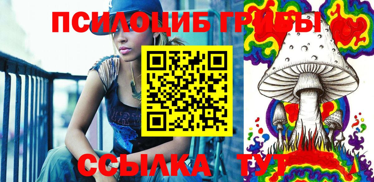 Саратов  Псилоцибиновые грибы MAGIC MUSHROOMS  наркошоп  Вход с VPN 